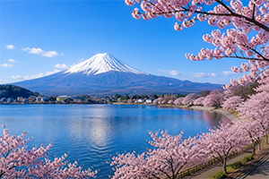avt japan