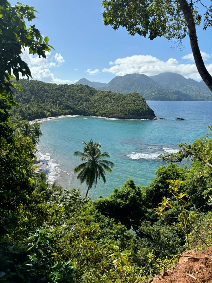 dominica